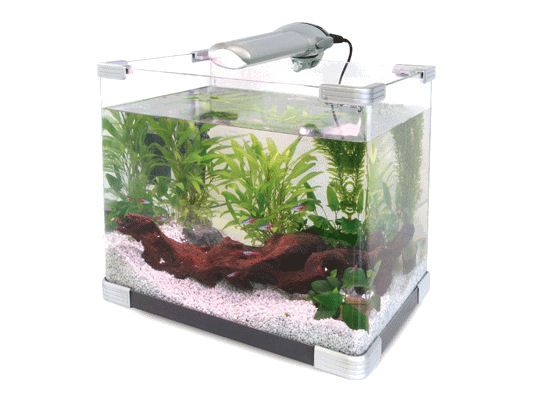 Arctank Nanoakvarium