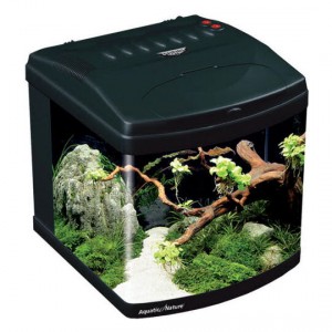 nanoakvarium evolution black
