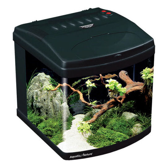 nanoakvarium evolution black