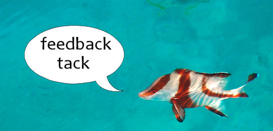feedback tack