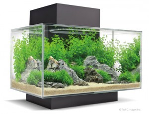 Nanoakvarium Fluval Edge