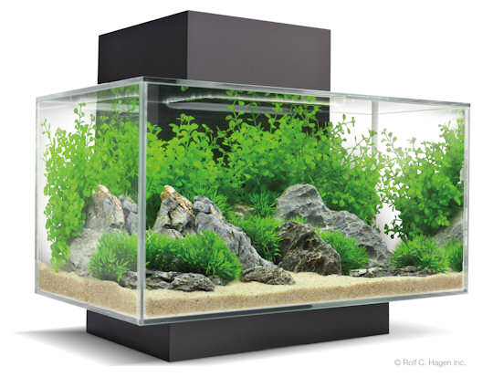 Nanoakvarium Fluval Edge