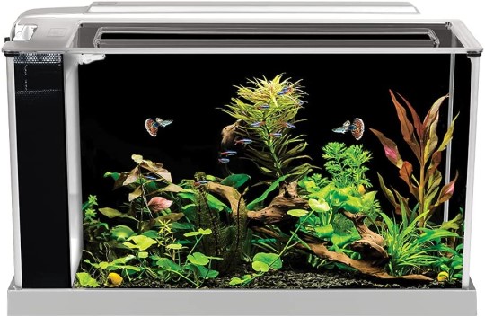 fluval spec 5