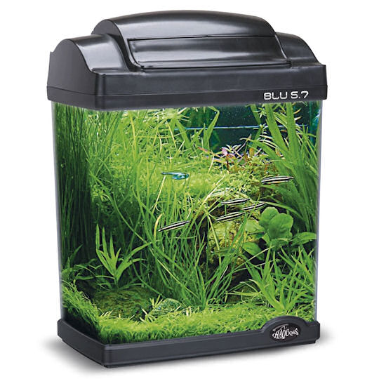 Nanoakvarium Haquoss Blu 5,7