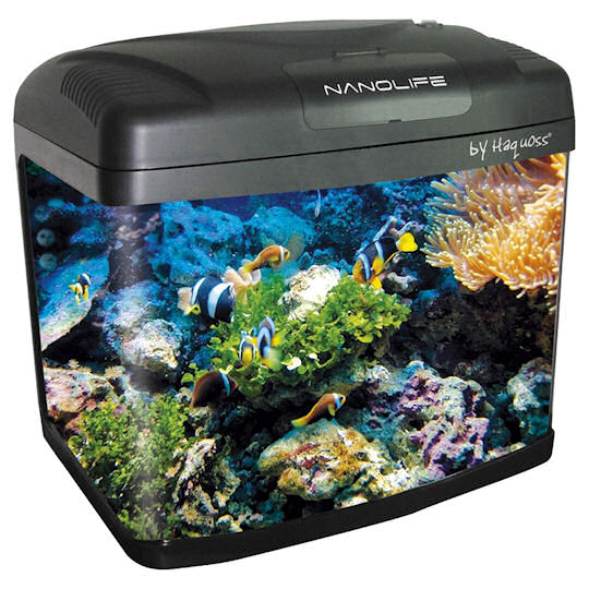 nanolife Nanoakvarium Haquoss Nanolife