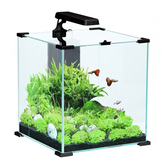 nanolife_cube